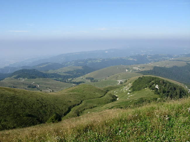Eingefügtes Bild