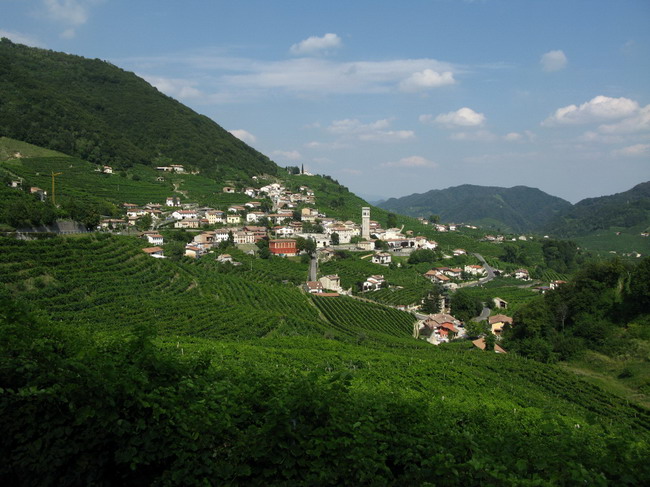 Eingefügtes Bild